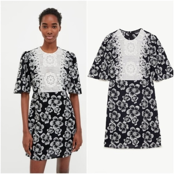 zara black and white embroidered dress